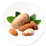Almond