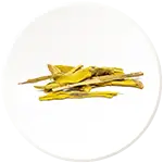 Berberis aristata