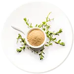 Brahmi