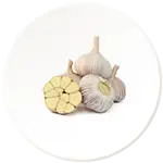 Lahsun