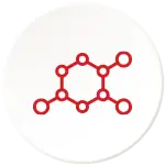 Neurotransmitter Regulation