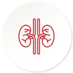 Organ protection