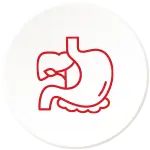Digestive Transit and Bile Secretion