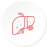 Liver Enzyme Normalization