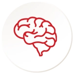Strengthens Brain & Heart
