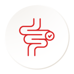 Gastrointestinal System
