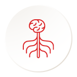 Nervous System